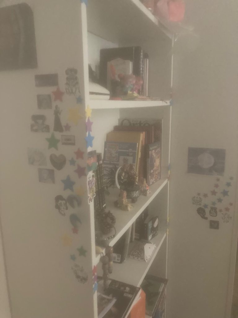 Libreria decorata con sticker e immagini prese da Pinterest, decorazioni per la mia stanza da letto da NEET disordinata ma fatata