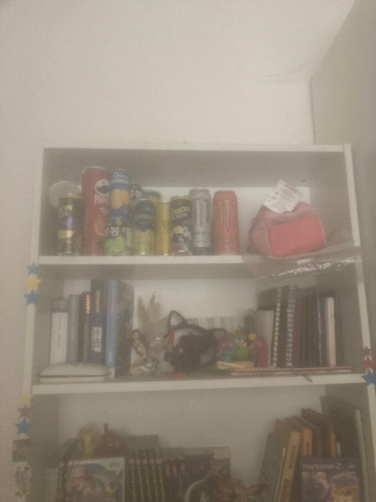 La parte alta della mia libreria con la collezione di lattine e decorazioni per una stqnza disordinata